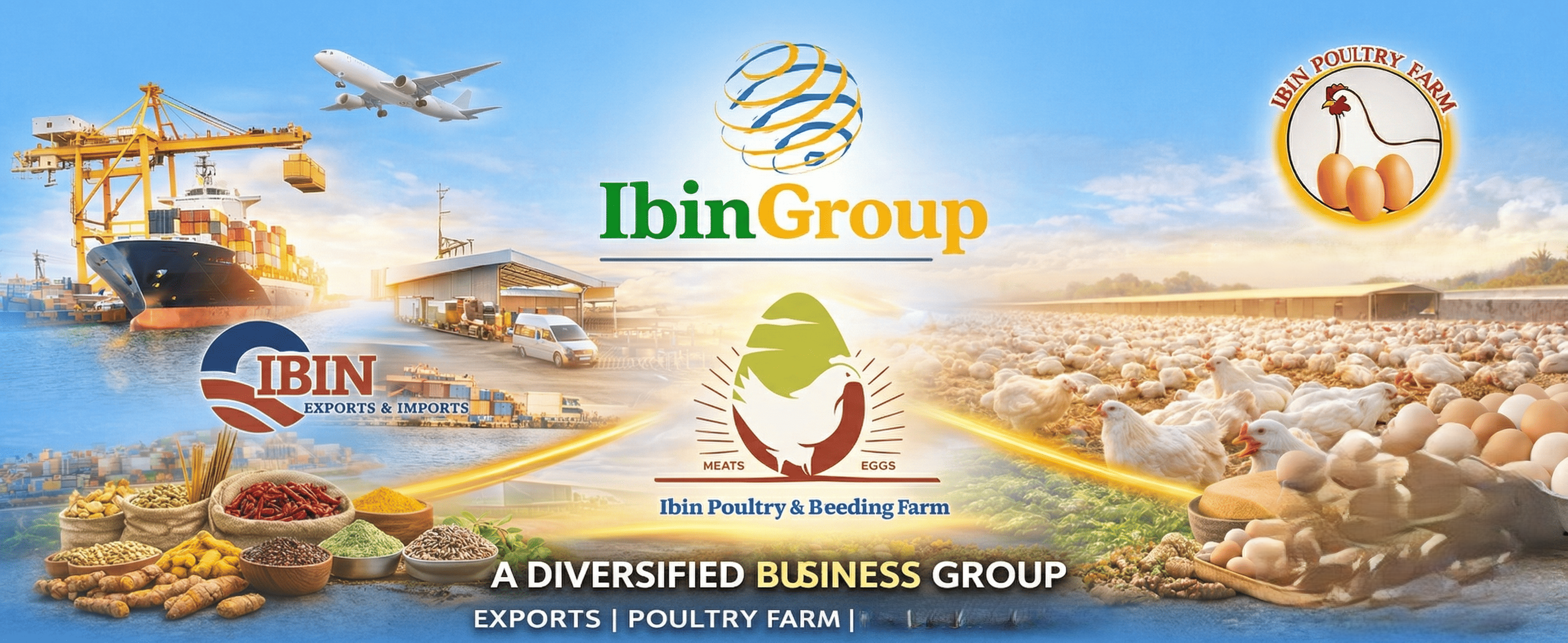 IBIN Banner
